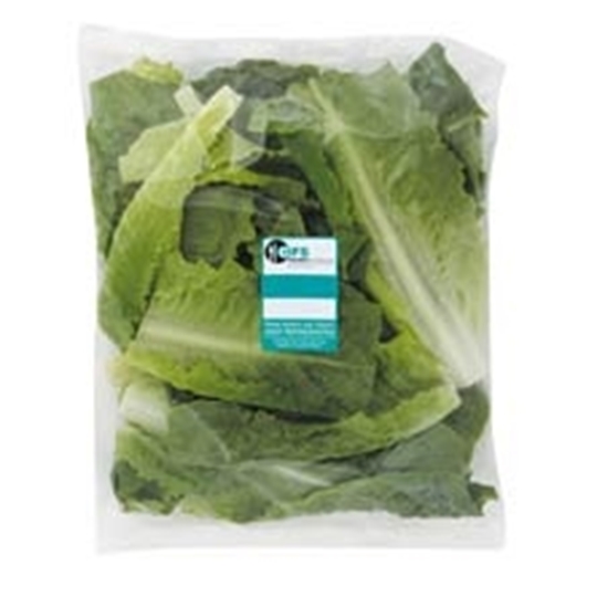Picture of Cos Leaf Lettuce Pack 250g