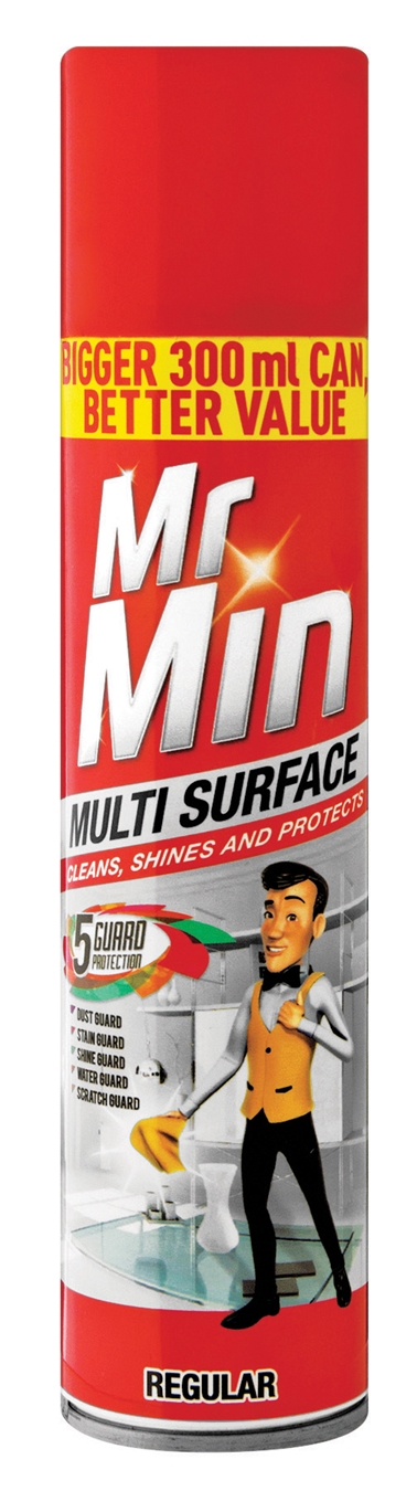 Mr Min Regular Multi Surface Can 300ml