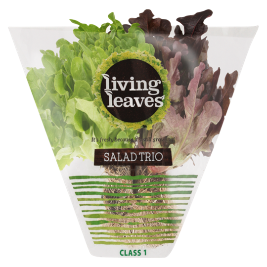 Picture of Living Leaves Lettuce Trio Head Pack