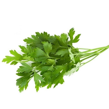Picture of HERBS PARSLEY 250G PK
